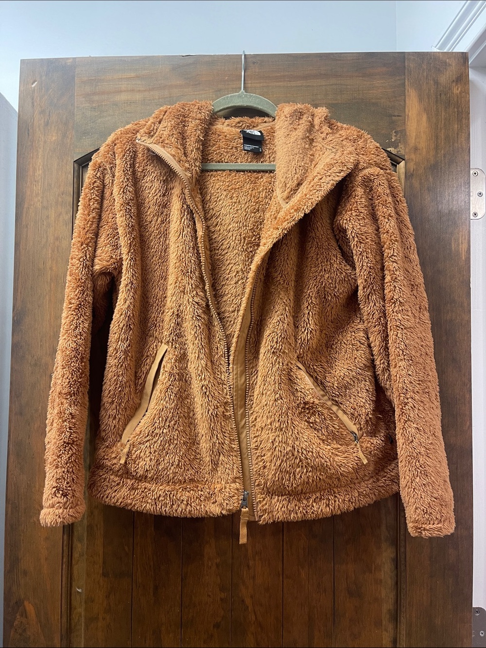 The North Face Plush Teddy Fleece Jacket in Rust